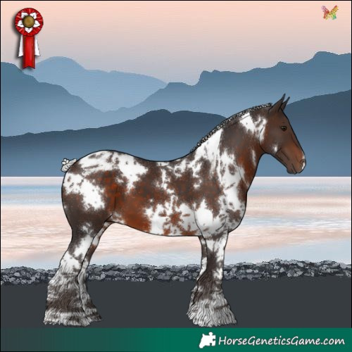 Horse Color:White Spotted Silver Brown Tobiano 