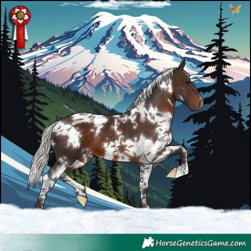 Horse Color:White Spotted Silver Brown Tobiano 