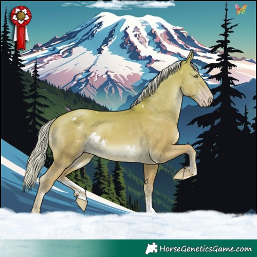 Horse Color:White Spotted Silver Sable Cream Champagne Sabino Rabicano