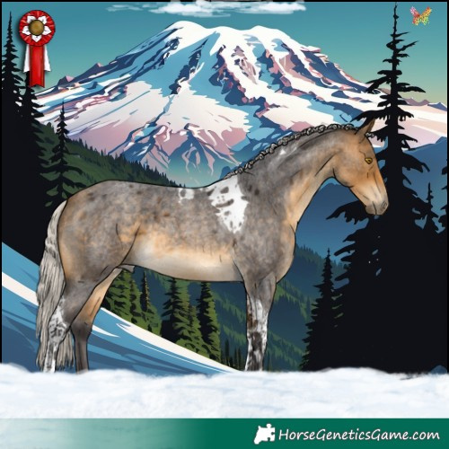 Horse Color:Silver Buckskin Roan Tobiano 