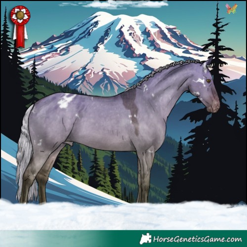 Horse Color:White Spotted Silver Brown Dun Varnish 