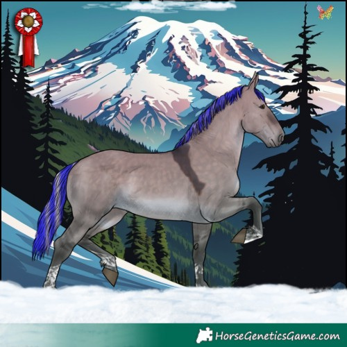 Horse Color:Painted Silver Brown Dun Tobiano 