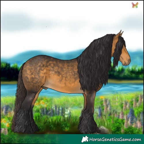 Horse Color:Buckskin 
