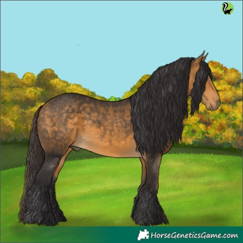 Horse Color:Buckskin 
