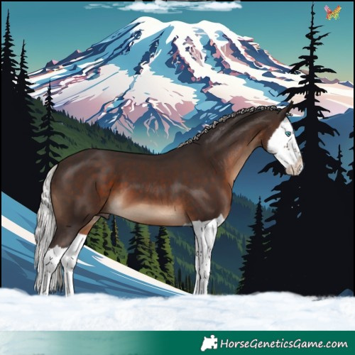 Horse Color:Silver Brown Splash 
