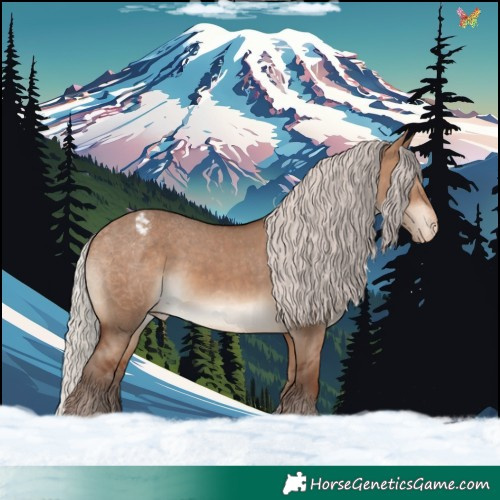 Horse Color:Silver Brown Dun Appaloosa 