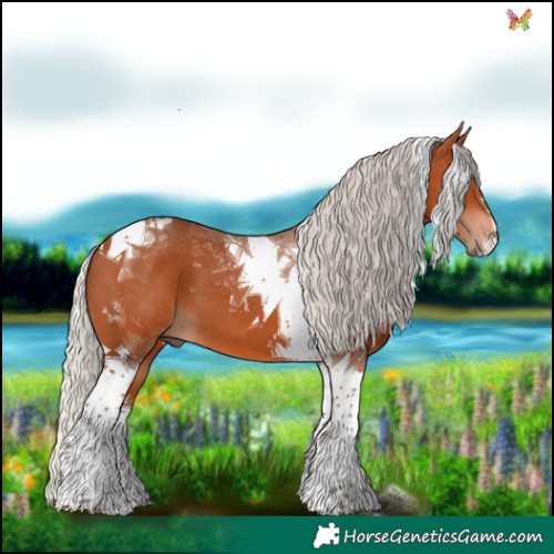 Horse Color:Silver Bay Tobiano 