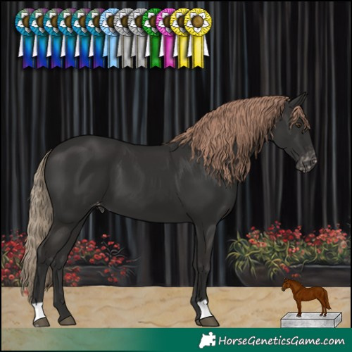 Horse Color:Liver Chestnut Varnish 