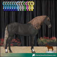 Horse Color:Liver Chestnut Varnish 