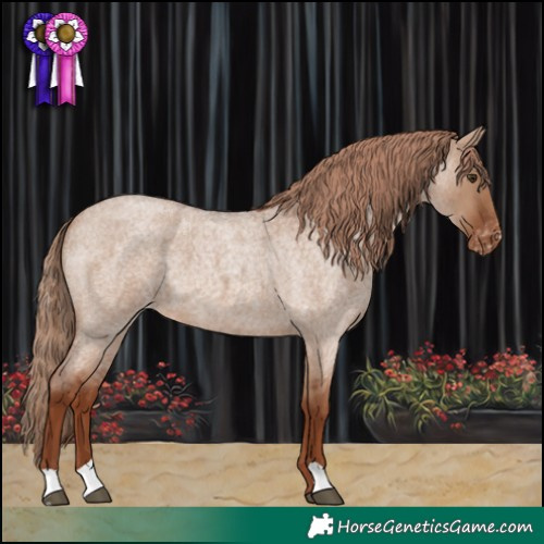 Horse Color:Red Dun Roan Varnish 