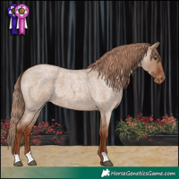 Horse Color:Red Dun Roan Varnish