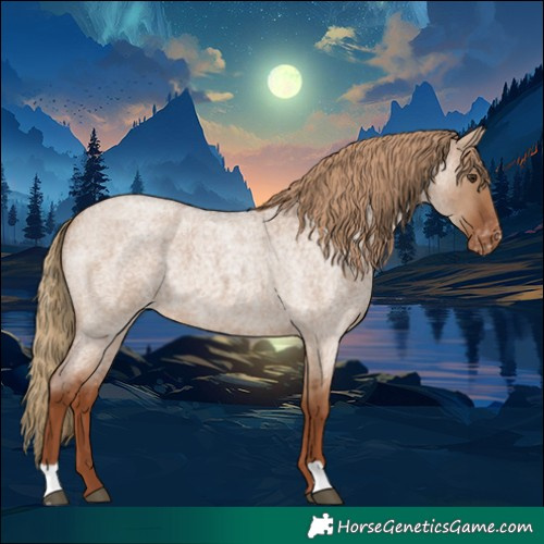 Horse Color:Red Dun Roan Varnish 