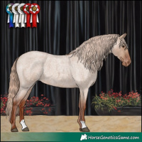 Horse Color:Red Dun Roan Appaloosa