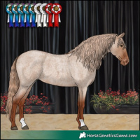 Horse Color:Red Dun Roan Varnish
