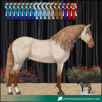 Horse Color:Red Dun Roan Varnish 