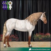 Horse Color:Red Dun Roan Appaloosa