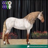 Horse Color:Red Dun Roan Varnish