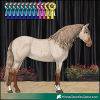 Horse Color:Red Dun Roan Varnish 