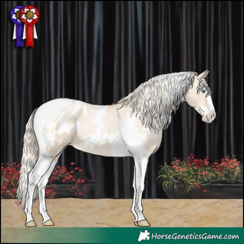 Horse Color:White Spotted Palomino Pearl Dun Splash Tobiano Appaloosa 