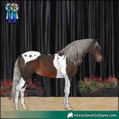 Horse Color:Silver Brown Tobiano 