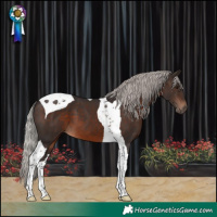 Horse Color:Silver Brown Tobiano