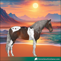 Horse Color:Silver Brown Tobiano