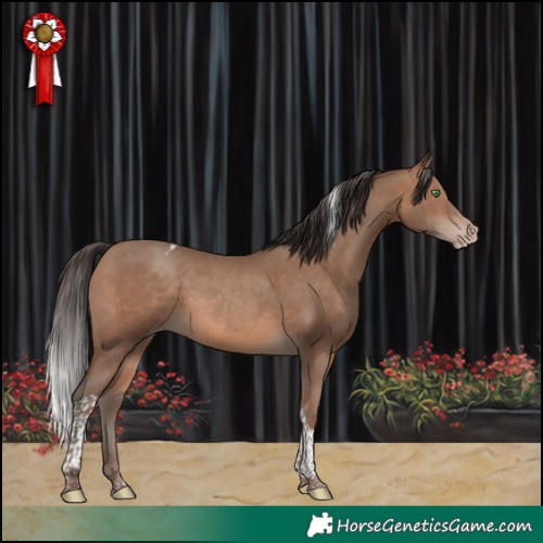 Horse Color:Sable Champagne Tobiano 