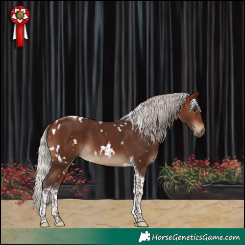 Horse Color:White Spotted Silver Brown Tobiano 
