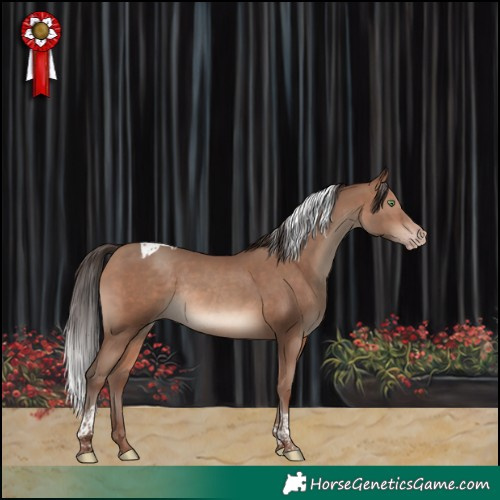 Horse Color:Sable Champagne Tobiano Rabicano 