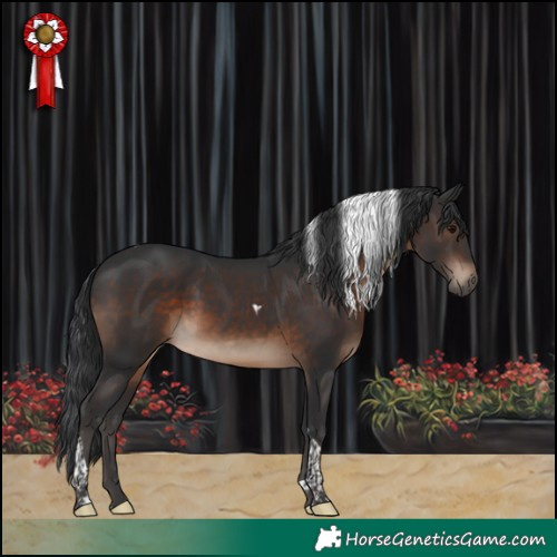 Horse Color:Brown Tobiano 