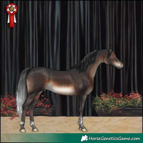 Horse Color:Brown Tobiano 
