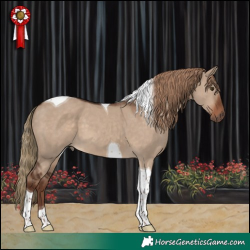 Horse Color:Liver Red Dun Tobiano 