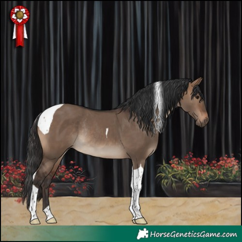 Horse Color:Brown Dun Tobiano Rabicano 