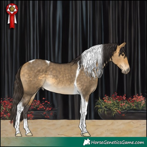 Horse Color:Buckskin Dun Tobiano Rabicano 