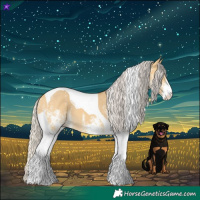 Horse Color:White Spotted Silver Buckskin Dun Tobiano 