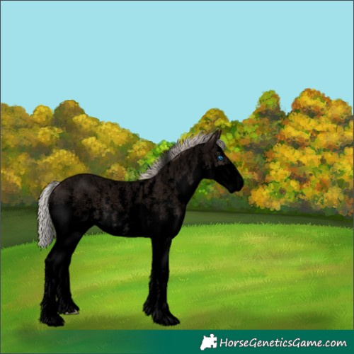 Horse Color:Void Silver Blue Roan Sabino Splash