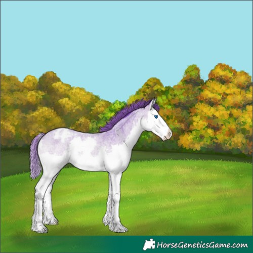 Horse Color:Watercolor Brown Roan Splash Varnish 