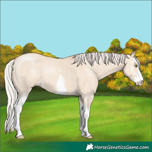 Horse Color:Silver Classic Champagne Dun Sabino 
