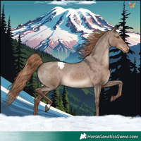 Horse Color:Liver Red Dun Appaloosa Rabicano
