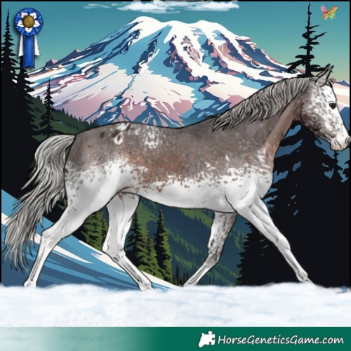 Horse Color:White Spotted Silver Brown Appaloosa 