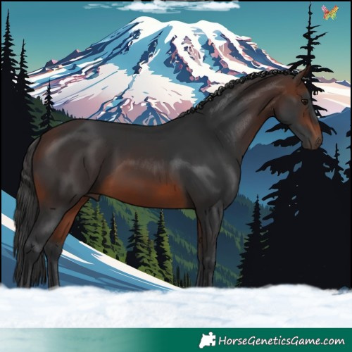 Horse Color:Brown 