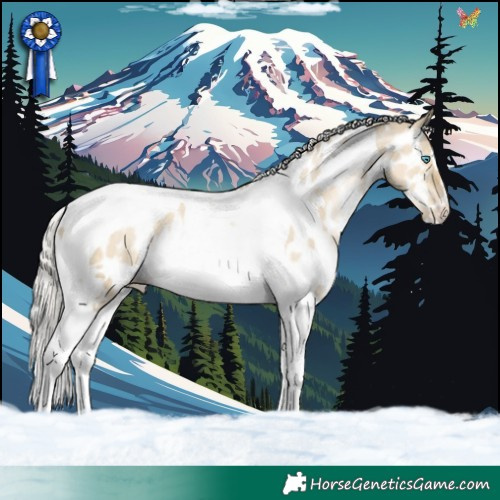 Horse Color:White Spotted Silver Smoky Grullo Pearl Tobiano Appaloosa 