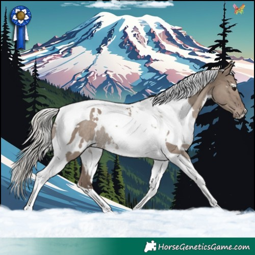 Horse Color:White Spotted Silver Grullo Tobiano Rabicano 