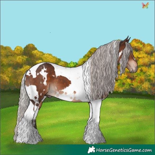 Horse Color:White Spotted Silver Brown Tobiano