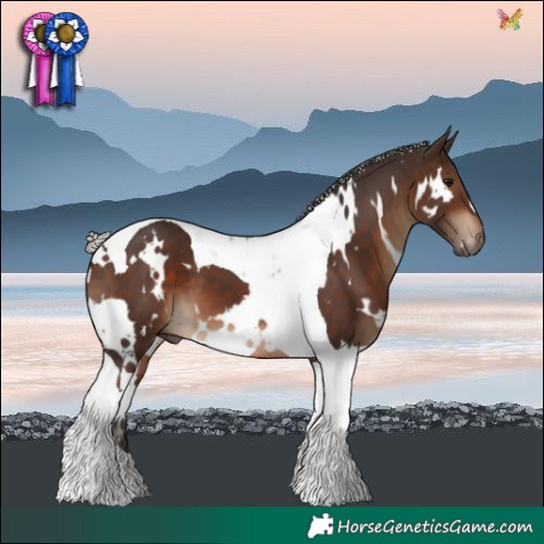 Horse Color:White Spotted Silver Brown Tobiano 