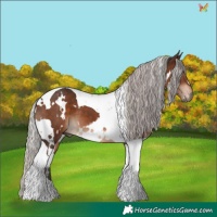 Horse Color:White Spotted Silver Brown Tobiano 