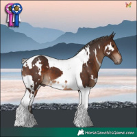 Horse Color:White Spotted Silver Brown Tobiano 