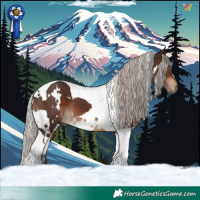 Horse Color:White Spotted Silver Brown Tobiano 