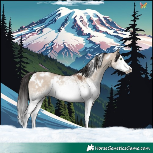 Horse Color:White Spotted Sable Champagne Dun 