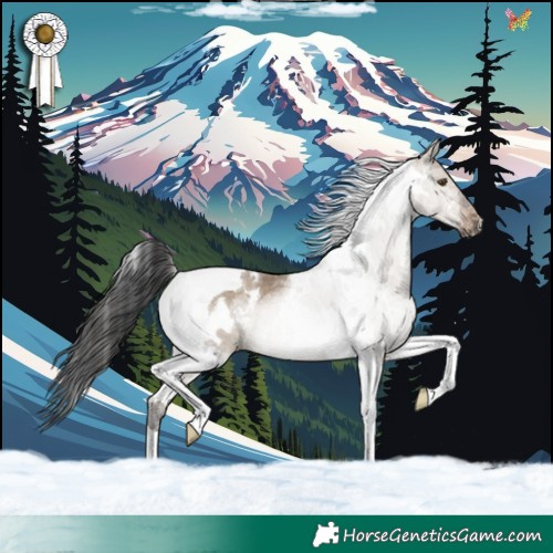 Horse Color:White Spotted Brown Dun Tobiano 